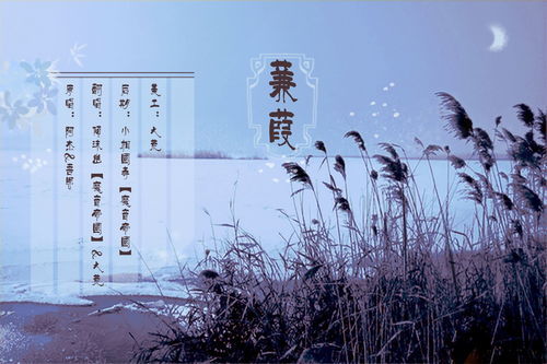 蒹葭全文拼音版朗读，蒹葭全文读音