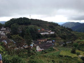 上山下山是什么意思，上山下山照样子写词语