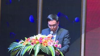 火影，火焰纹章engage