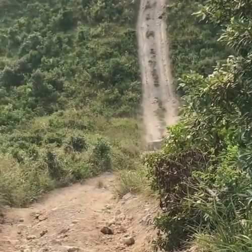 直播上山下山什么意思