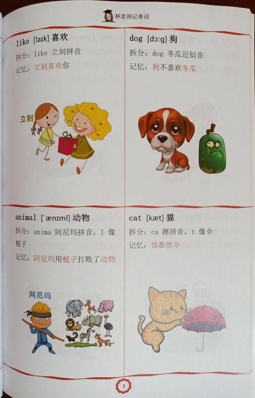 盘拼音怎么读，鼻拼音怎么读