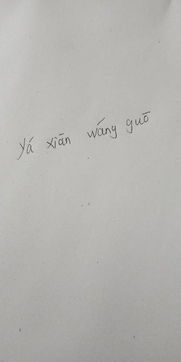 王的拼音 王的拼音是什么