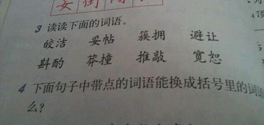纯洁的近义词是什么