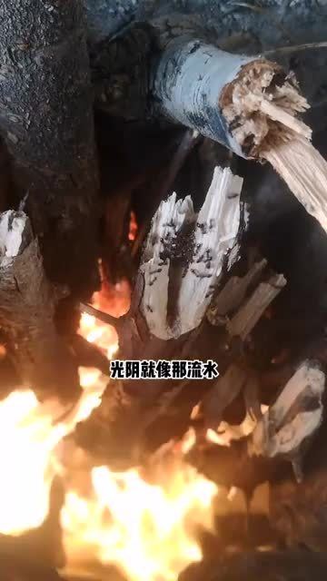 热锅上的蚂蚁是什么意思生肖，热锅上的蚂蚁是什么成语的意思