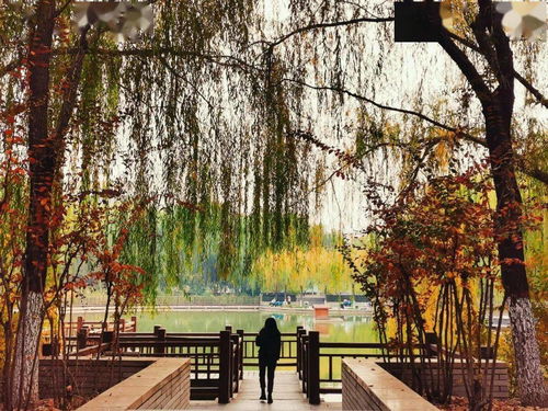 漪沦什么意思