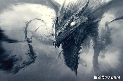 蛇进化为龙的七个阶段怎么读，蛇进化为龙的七个阶段谚语