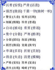 运用的同义词