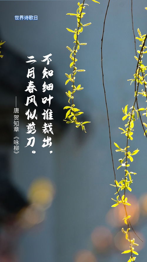 关于云的好的诗句大全