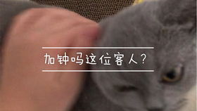 曲线读音是什么
