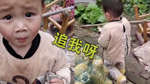 撞出来的悲喜全集免费观看，撞出来的淤青不疼