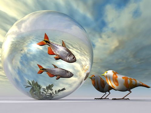 fish的复数形式为什么不加S，mouse的复数形式