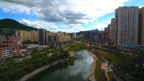 津桥学院是正规大学吗