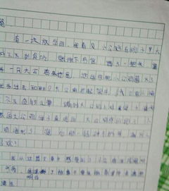 六年级上册第二单元《多彩的活动》作文600字10篇