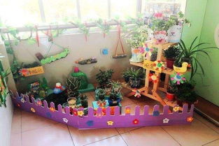 幼儿园自然角创意布置图片小红书，幼儿园自然角布置设计
