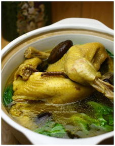 虫草鸡精，虫草鸡精有什么功效