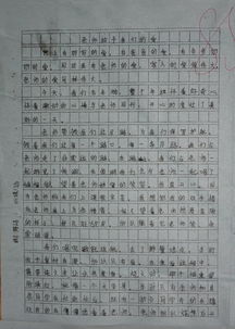 关于冬天的作文400字5篇