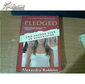 pledge的意思