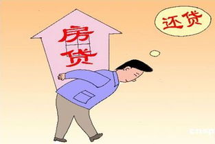 房奴是什么意思试爱，房奴什么意思?
