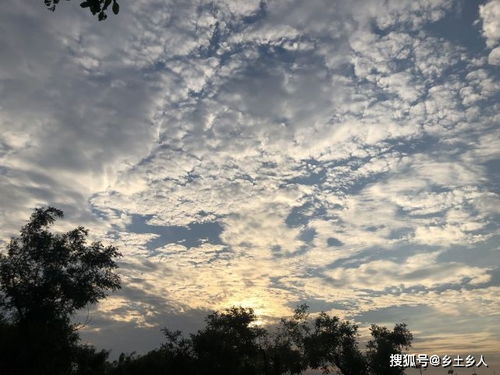 见风什么什么的成语