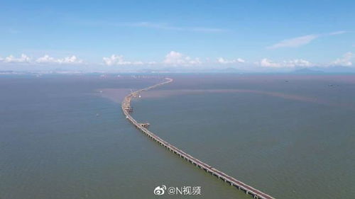 伶仃洋属于什么海，伶仃洋在哪个省