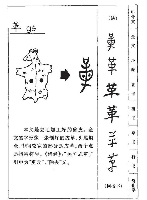革这个字读什么音
