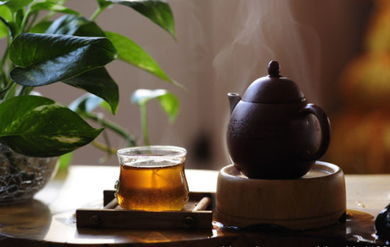 禅茶妙语，禅茶怎么读