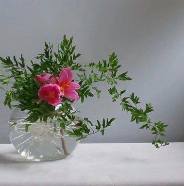 longer这个单词什么意思