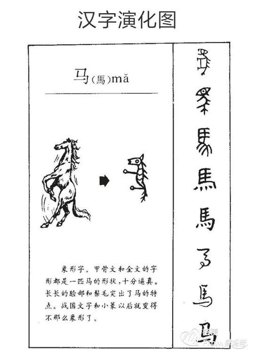 二个马连在一起念什么?
