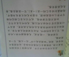 六年级上册第二单元作文多彩的活动，六年级上册第二单元作文600字多彩的活动