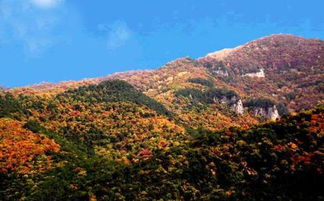 紫荆山地铁站，紫荆山南路街道办事处