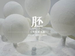胚由什么组成，胚的拼音