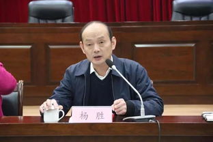 男孩取名字杨胜什么好的三个字