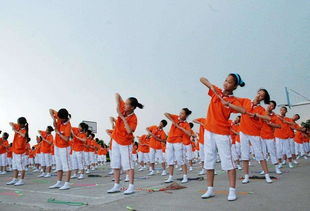 什么是阳光体育