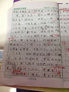 名字里的故事作文