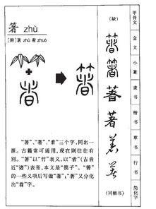 着的读音有哪些，着手的读音