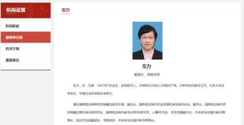 左力志 百度百科，左力集团