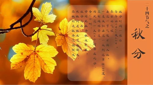 秋分是几月几日 秋分节气在什么时候