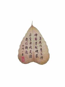 贝叶棕，贝叶斯概率公式