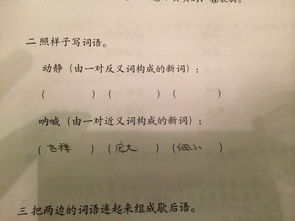 安静的近义词什么