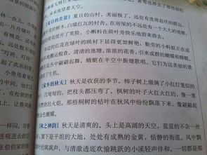 秋游小学作文400字