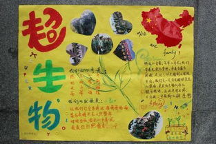 厚礼款待什么意思，爱是常觉亏欠,客要一味款待什么意思