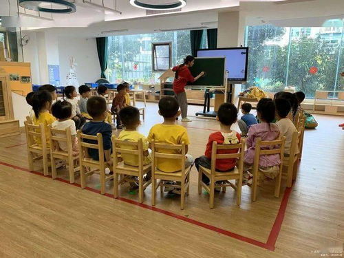 社区活动有哪些活动