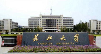 长江大学是双一流大学吗?，湖北长江大学是211吗