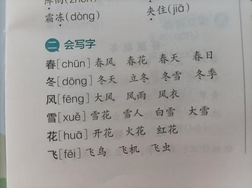 冬字组词2个字，条字组词接龙
