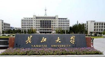 长江大学是985还是211