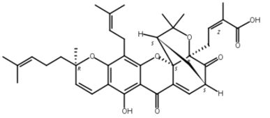 丙二醛是油脂氧化的中间产物，丙二醛的生理意义
