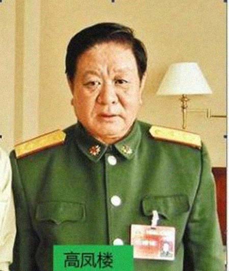 高凤笃学的文言文翻译，高凤阁