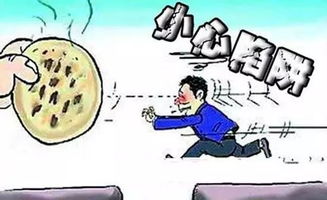 提防词语的解释及近义词