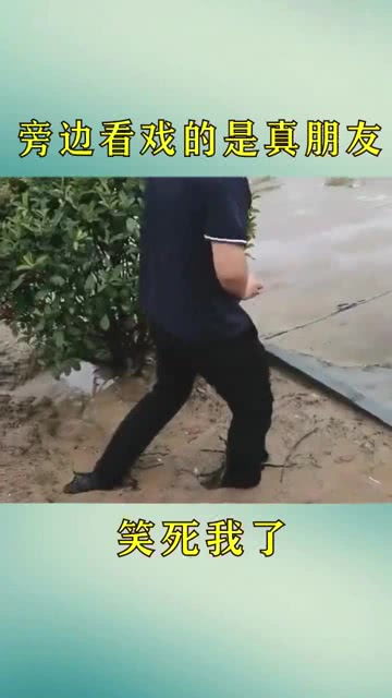 泥足深陷一往无前是什么生肖，泥足深陷是皮囊这句话什么意思