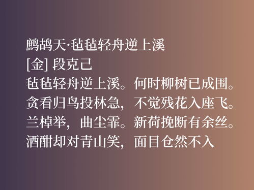 真挚的近义词语，抱怨的近义词